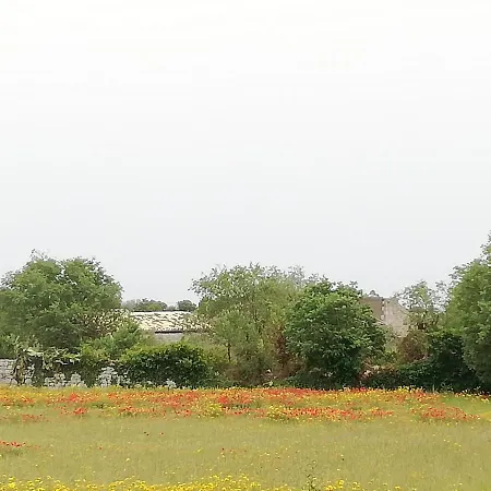 Fondo Paliemmu * Modica
